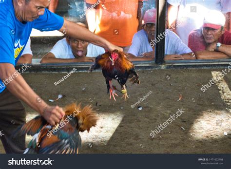 derby sabong meaning|SABONG / COCKFIGHTING 101 / Philippines for the .